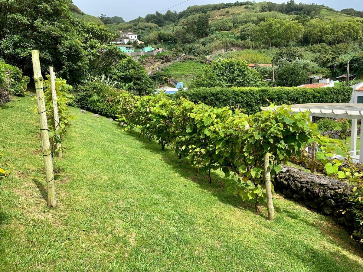 Casa Do Priolo - Villaverde Azores Feteiras 외부 사진